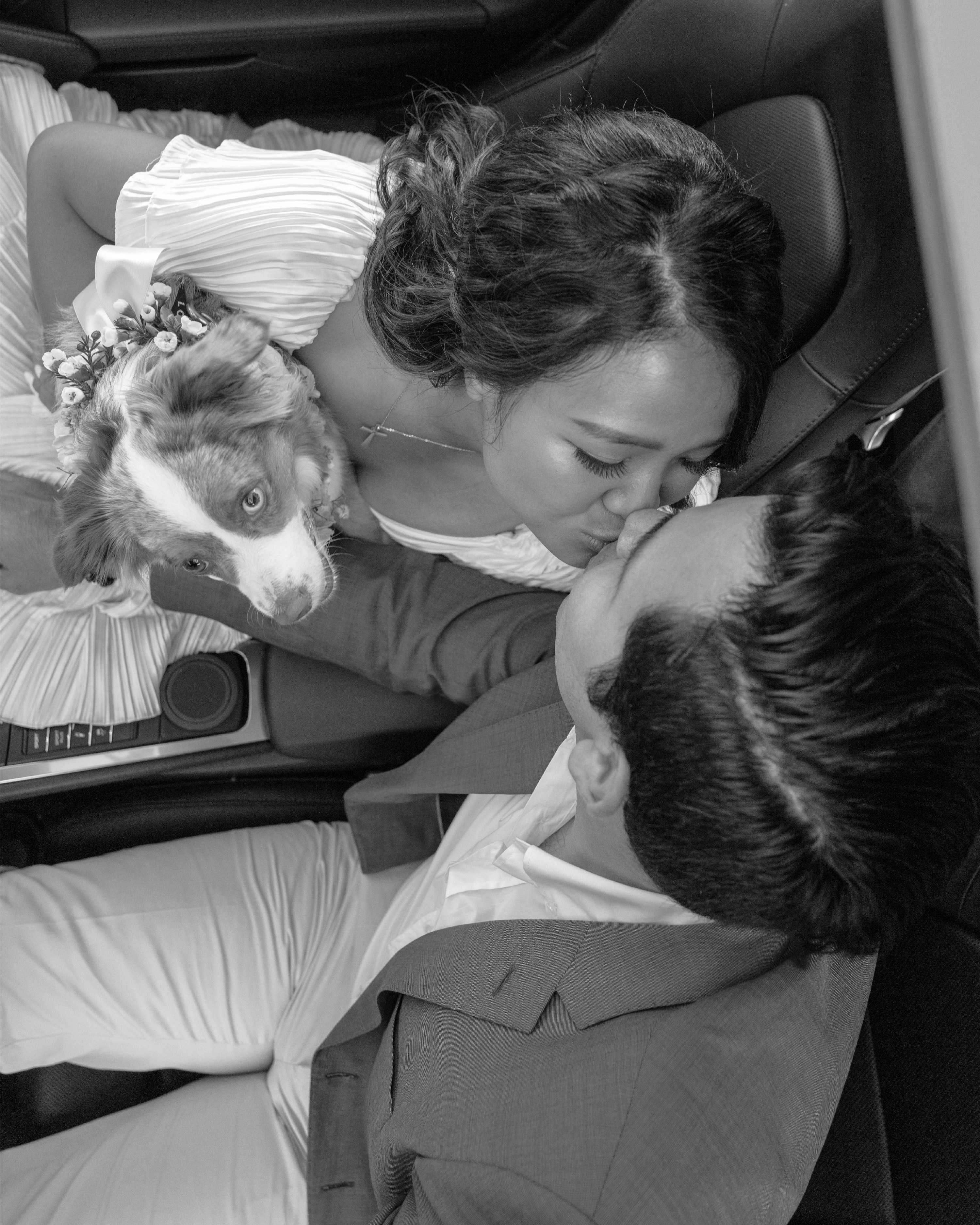 Couple cuddling with dog in car